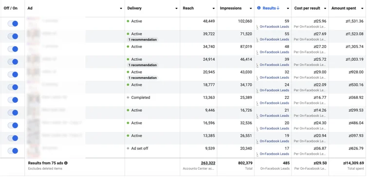 Zrzut z panelu reklamowego: 485 zapytań po 29,50 zł z 75 reklam